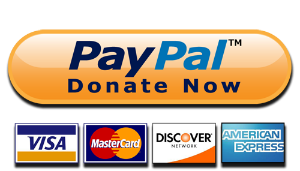 PayPal donation icon.