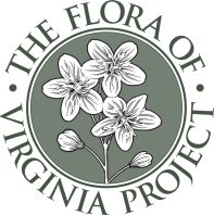 Logo of the Flora of Virginia Project