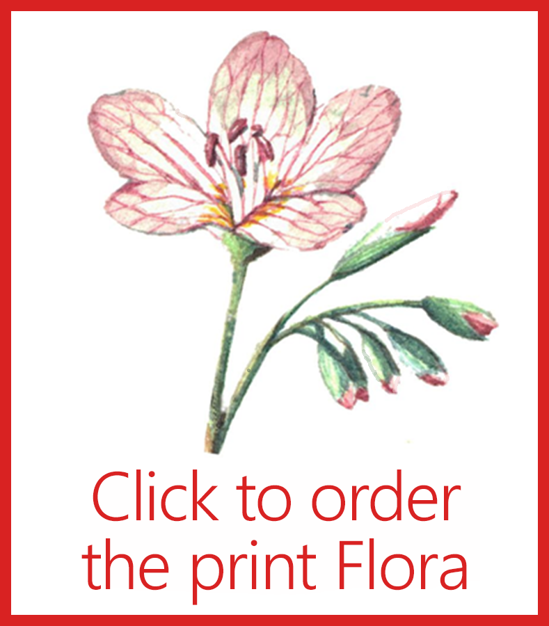 Click to order a Flora